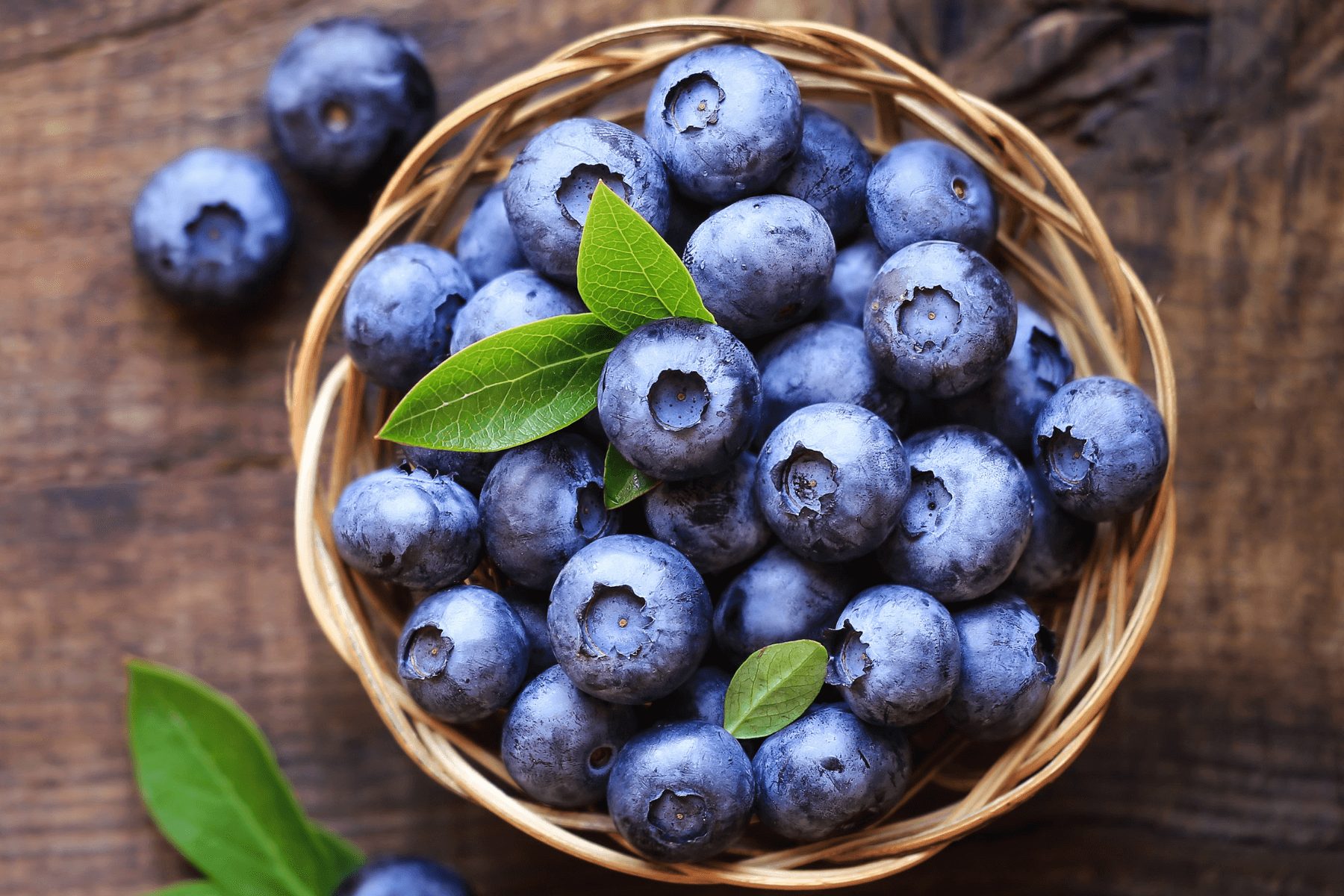 Fresh Blueberry 125g